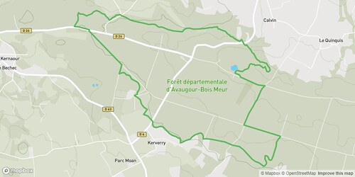 Circuit de la carrière en forêt d’Avaugour