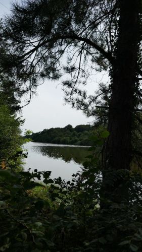 P1020381.jpg