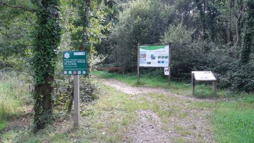 20230806_162617.jpg
