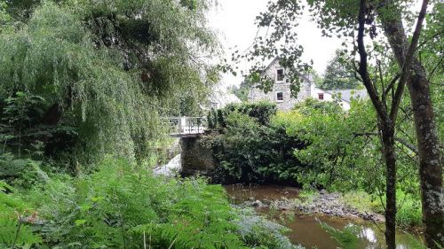 20210801_172731.jpg